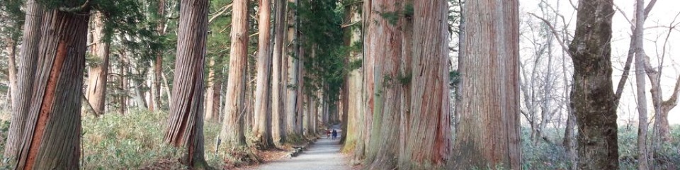 日本のCMS：「logical_jp」シリーズは、 日本語環境での読みやすさ、使いやすさを重視しています。スマートフォン・タブレットでも、最適なレイアウトを提供します。