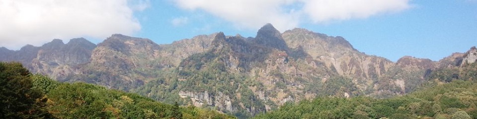 今はやりの、端末の画面幅で見た目が変わる、レスポンシブレイアウト。高解像度用のページをただ縮めただけでは、モバイル端末の表示が遅くなってしまいます。logical_jpは、アクセス時に端末判定を行い、スマートフォンでは 余分なソーシャルプラグインや、特殊効果を止めるようにしています。