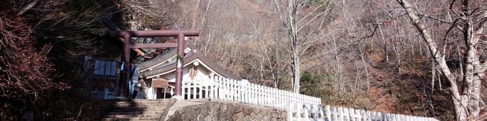 ソーシャルプラグイン：日本のユーザーが多い、各種ウェブサービスの投稿ボタンを搭載。 ソーシャル連携に欠かせない文書規格、OGPにもきっちり対応。